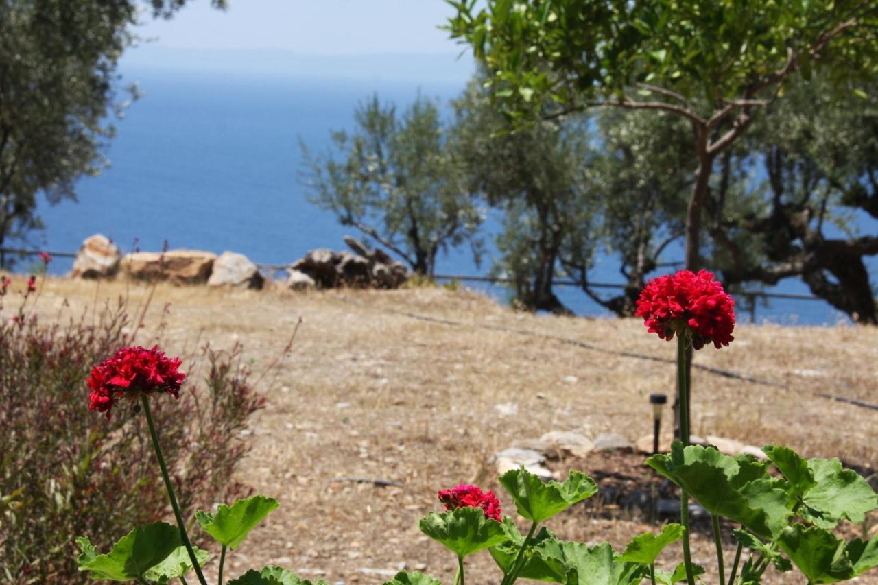 Vila Sea And Mountain View Kalamata Exteriér fotografie
